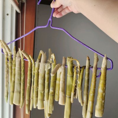 把处理好的竹笋，根据自己的喜好撕成条状，挂在晾衣架上！（这个方法适合城里居住楼房，没地方晾晒的人群用！）