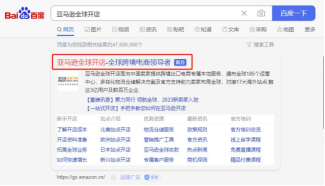 浏览器搜索“亚马逊全球开店”