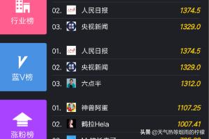 可以看到当日的抖音行业排行榜、蓝V排行榜，以及涨粉排行榜