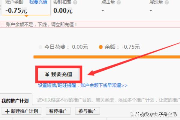 若是第一次开启的话，会稍微浪费点时间去验证的，但相信这些个小问题对大家来说就不是问题了，接着在打开的页面进行充值（付费的当然得充）