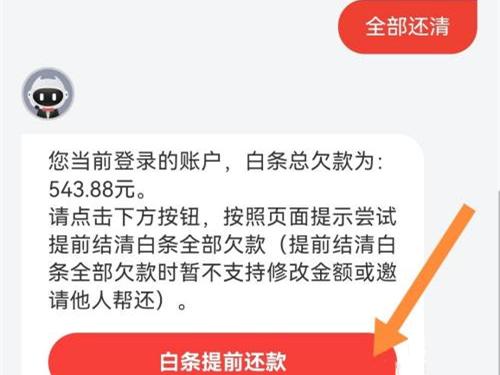 输入全部还清，点击发送，页面弹出提示，点击全部还清，再点击白条提前还款